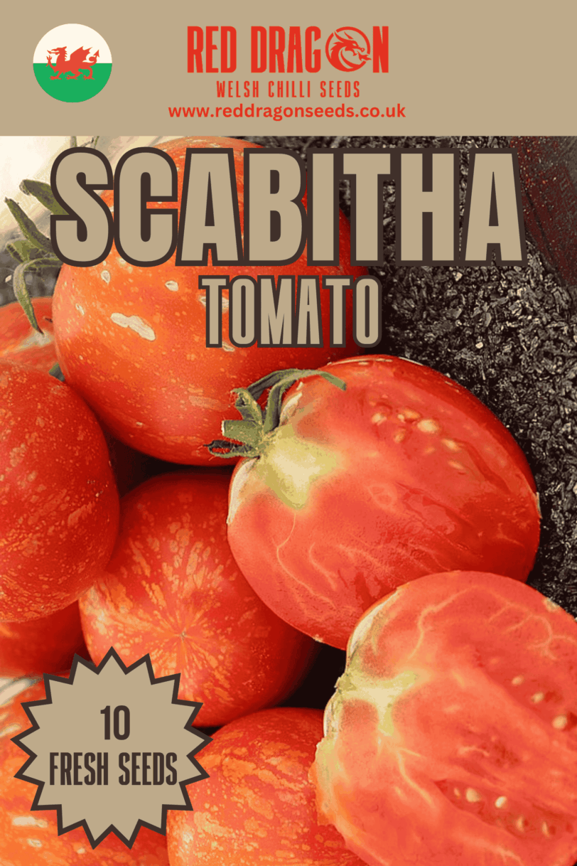 Scabitha Tomato Seeds