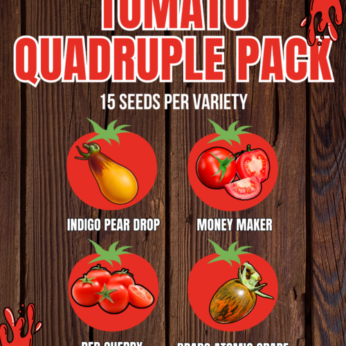 Tomato Quadruple Pack - Indigo Pear Drop, Money Maker, Red Cherry, and Brad's Atomic Grape