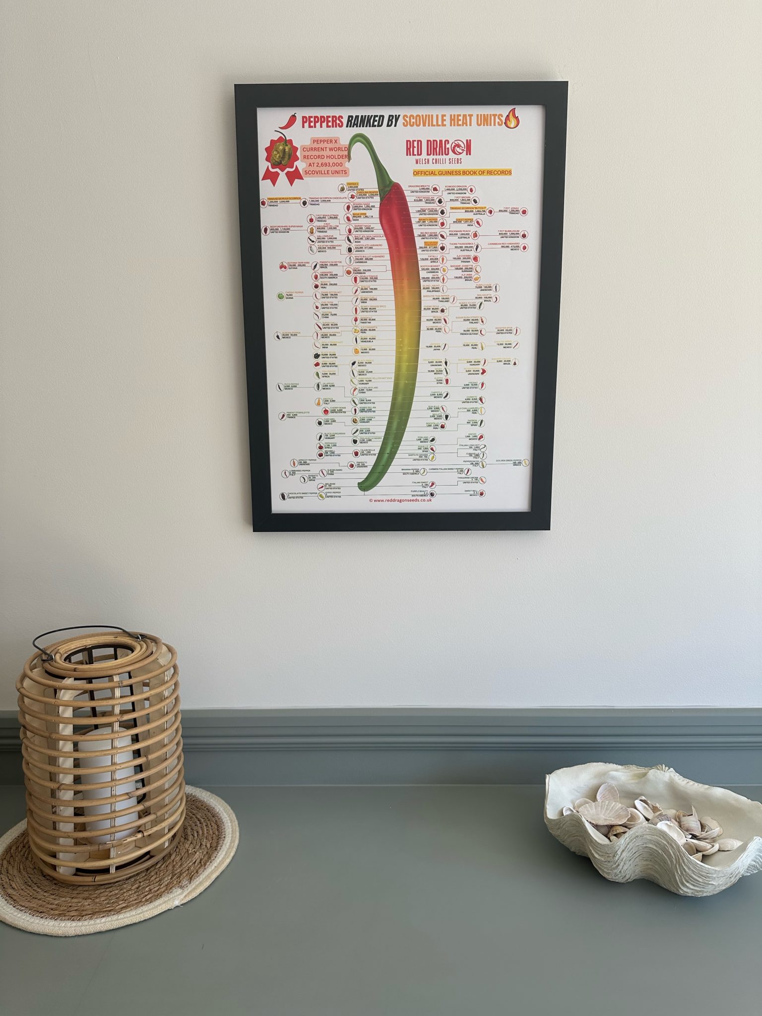 Scoville Chart Poster A2 Laminated Scoville Chart with over 120