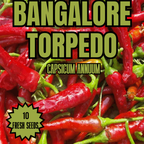 Bangalore Torpedo Chilli Seeds