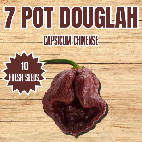 7 Pot Douglah Chilli Seeds