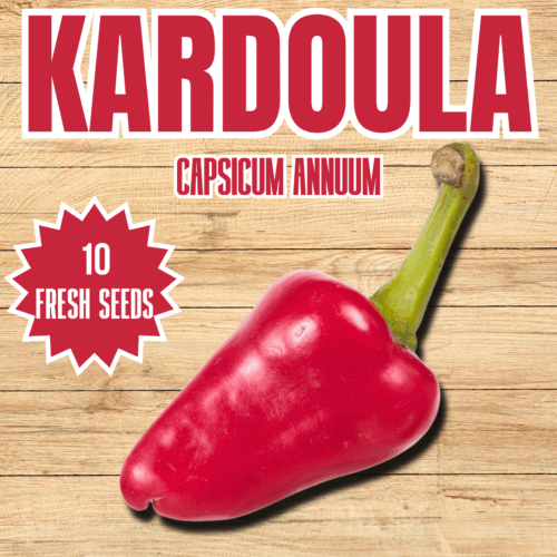 Kardoula Chilli Seeds