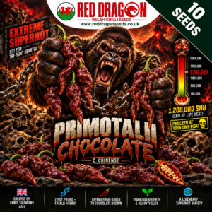 Primotalii Chocolate Chilli Seeds