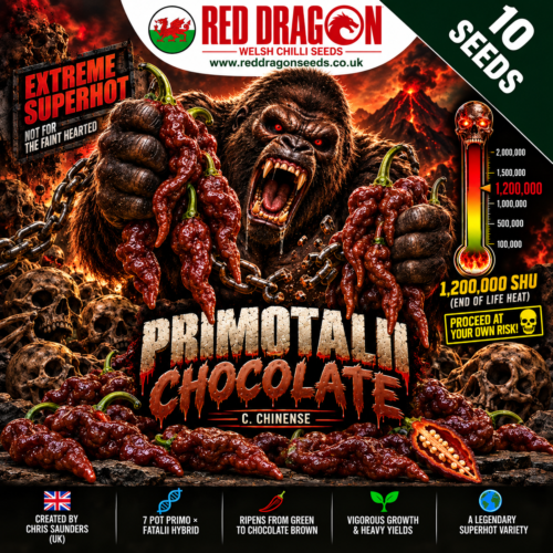 Primotalii Chocolate Chilli Seeds