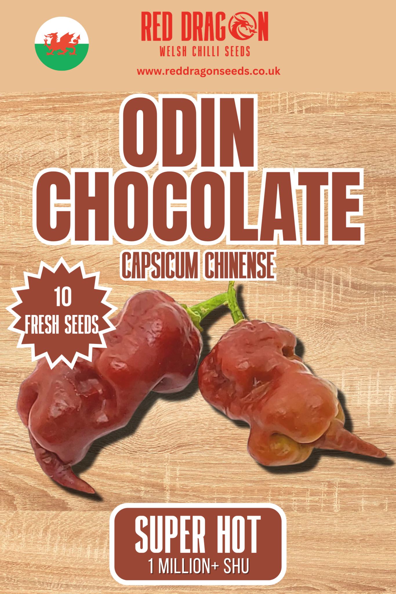 Odin Chocolate Chilli Seeds Odin Chocolate Pepper Seeds Red Dragon