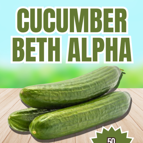 Cucumber Beth Alpha Seeds