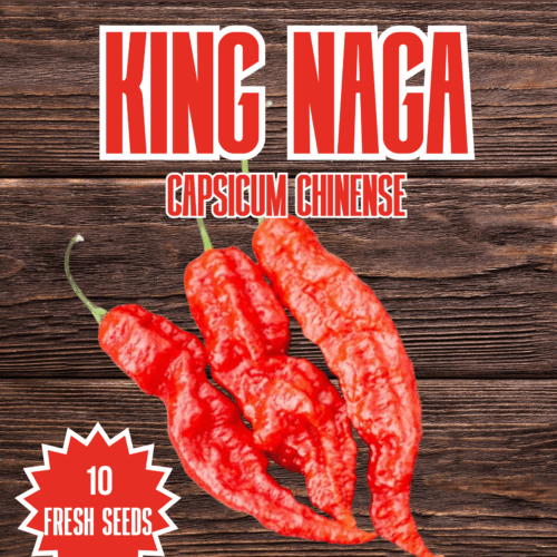 King Naga Chilli Seeds