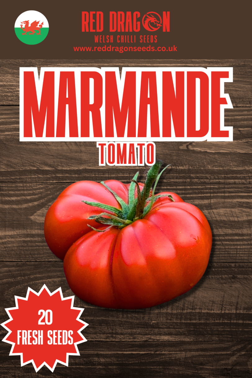 Marmande Tomato Seeds