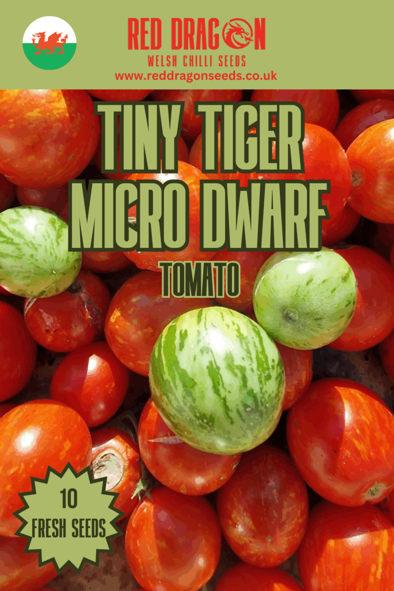 Tiny Tiger Micro Dwarf Tomato