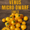 15 Golden Hour Micro Dwarf Tomato Seeds – 2025 Harvest, Non-GMO, Aerogarden Friendly