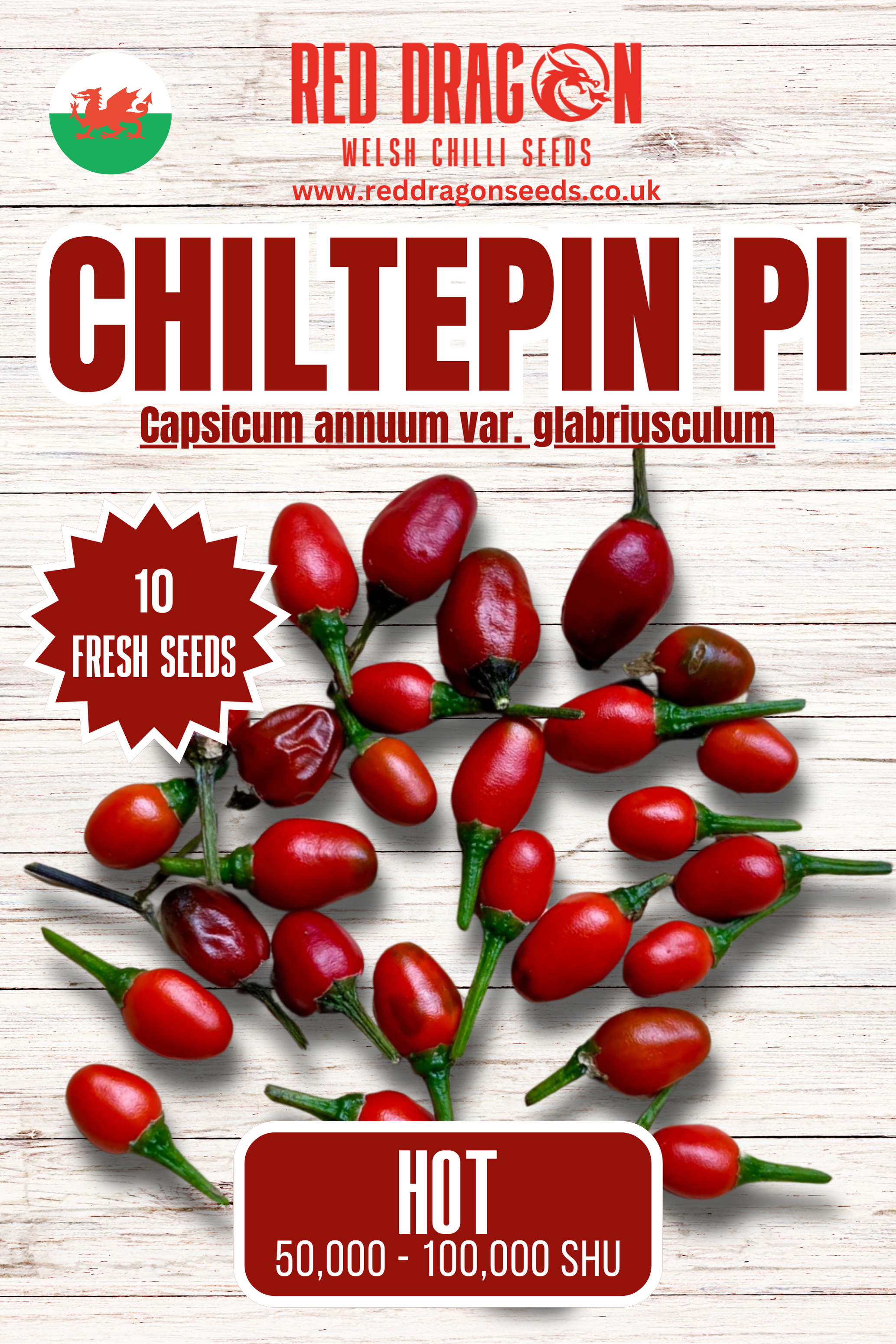 Chiltepin PI Chilli Seeds