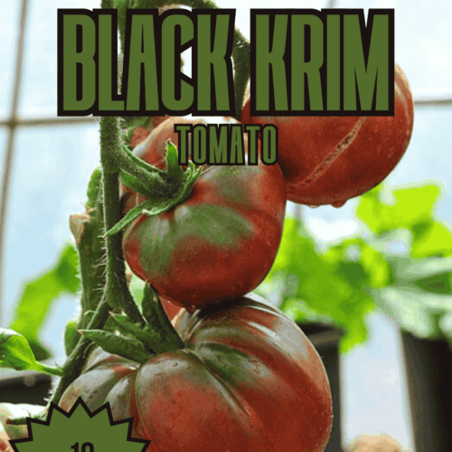 Black Krim Tomato Seeds