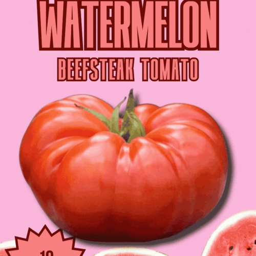 Watermelon Beefsteak Tomato Seeds