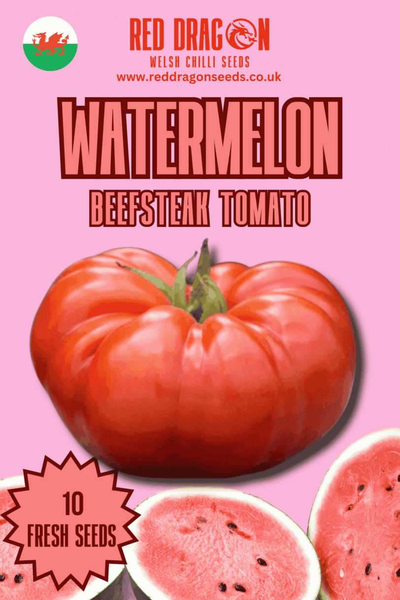 Watermelon Beefsteak Tomato Seeds