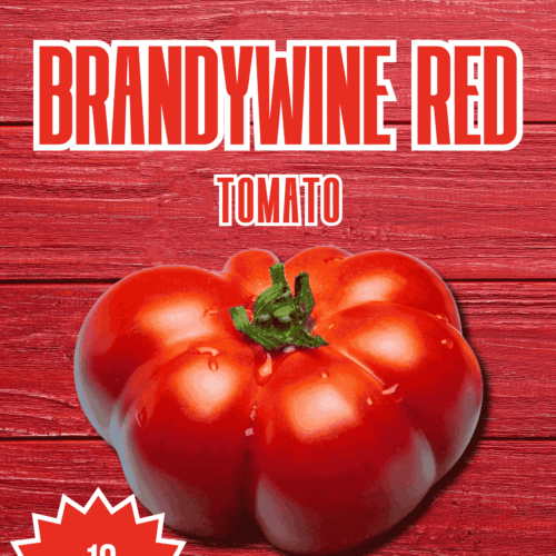 Brandywine Red Tomato Seeds