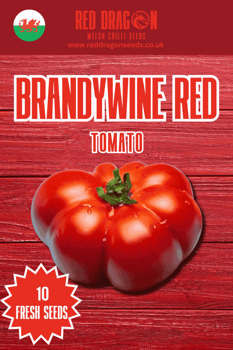 Brandywine Red Tomato Seeds