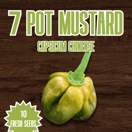 7 Pot Mustard Chilli Seeds