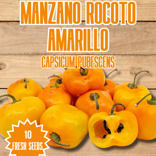 Manzano Rocoto Amarillo Chilli Seeds