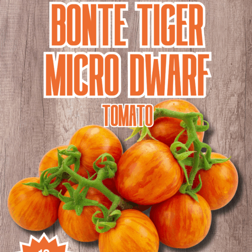 Bonte Tiger Micro Dwarf Tomato Seeds