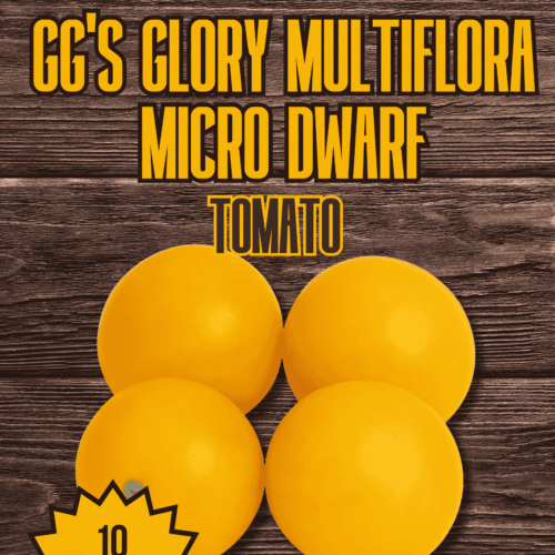 GG'S Glory MultiFlora Micro Dwarf Tomato Seeds
