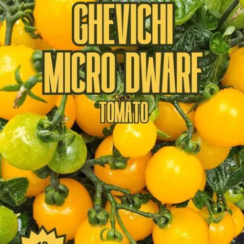 Ghevichi Micro Dwarf Tomato Seeds