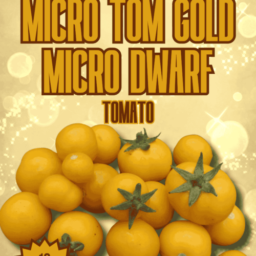 Micro Tom Gold Micro Dwarf Tomato Seeds