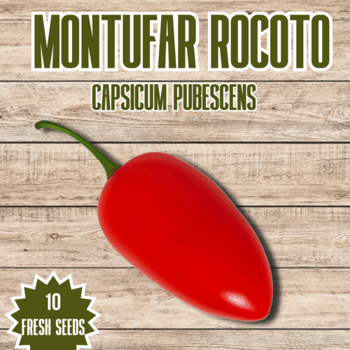 Montufar Rocoto Chilli Seeds