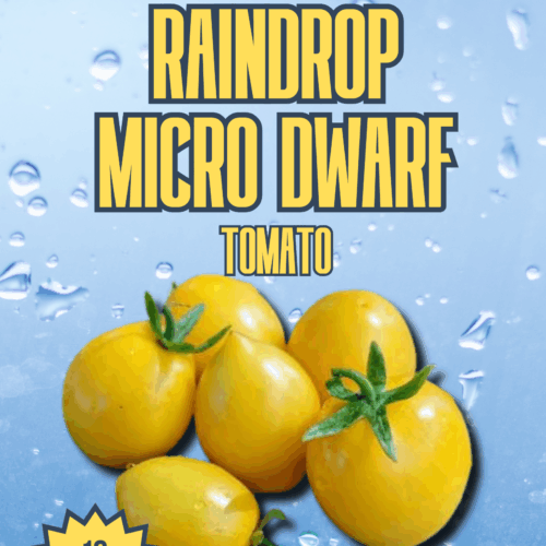 Raindrop Micro Dwarf Tomato Seeds
