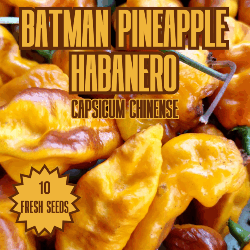 Batman Pineapple Habanero Chilli Seeds