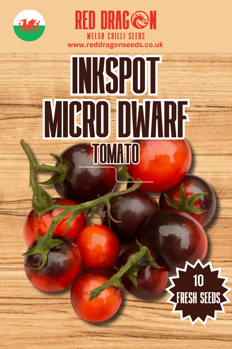 Inkspot Micro Dwarf Tomato Seeds