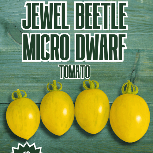 Jewel Beetle Micro Dwarf Tomato Seeds