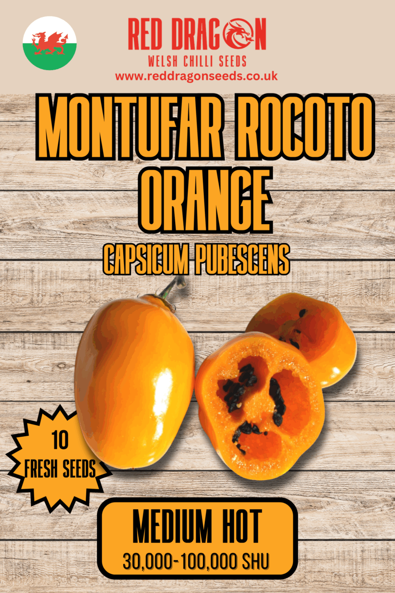 Montufar Rocoto Orange Chilli Seeds