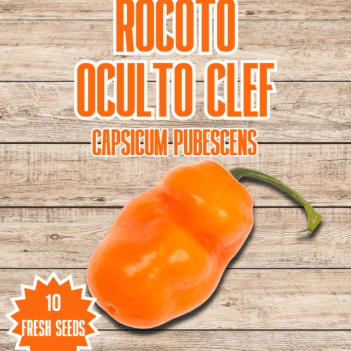 Rocoto Oculto Clef Chilli Seeds