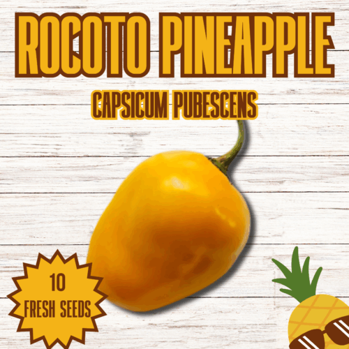 Rocoto Pineapple Chilli Seeds