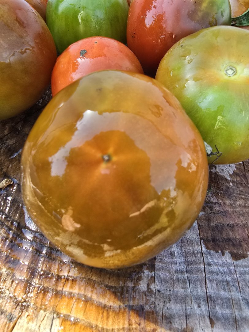 Large Kumato Tomato Seeds - Image 3