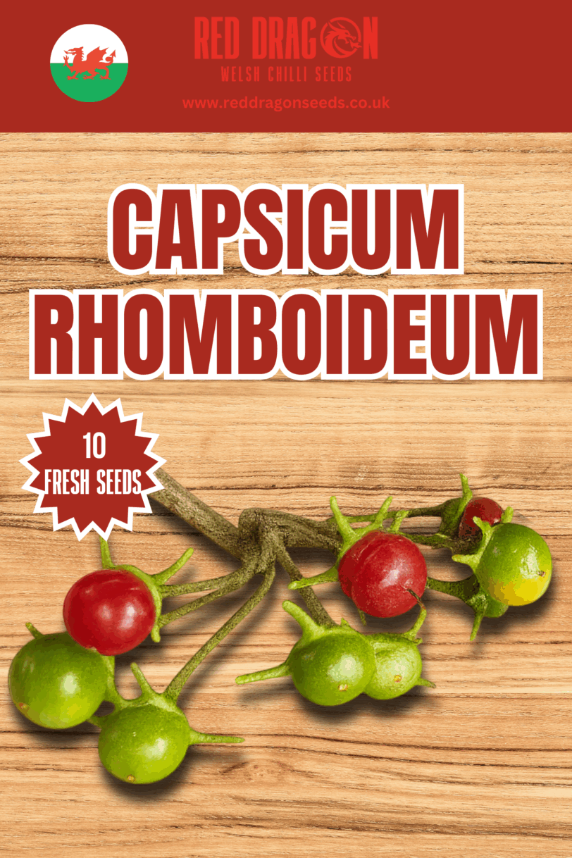 Capsicum Rhomboideum Seeds