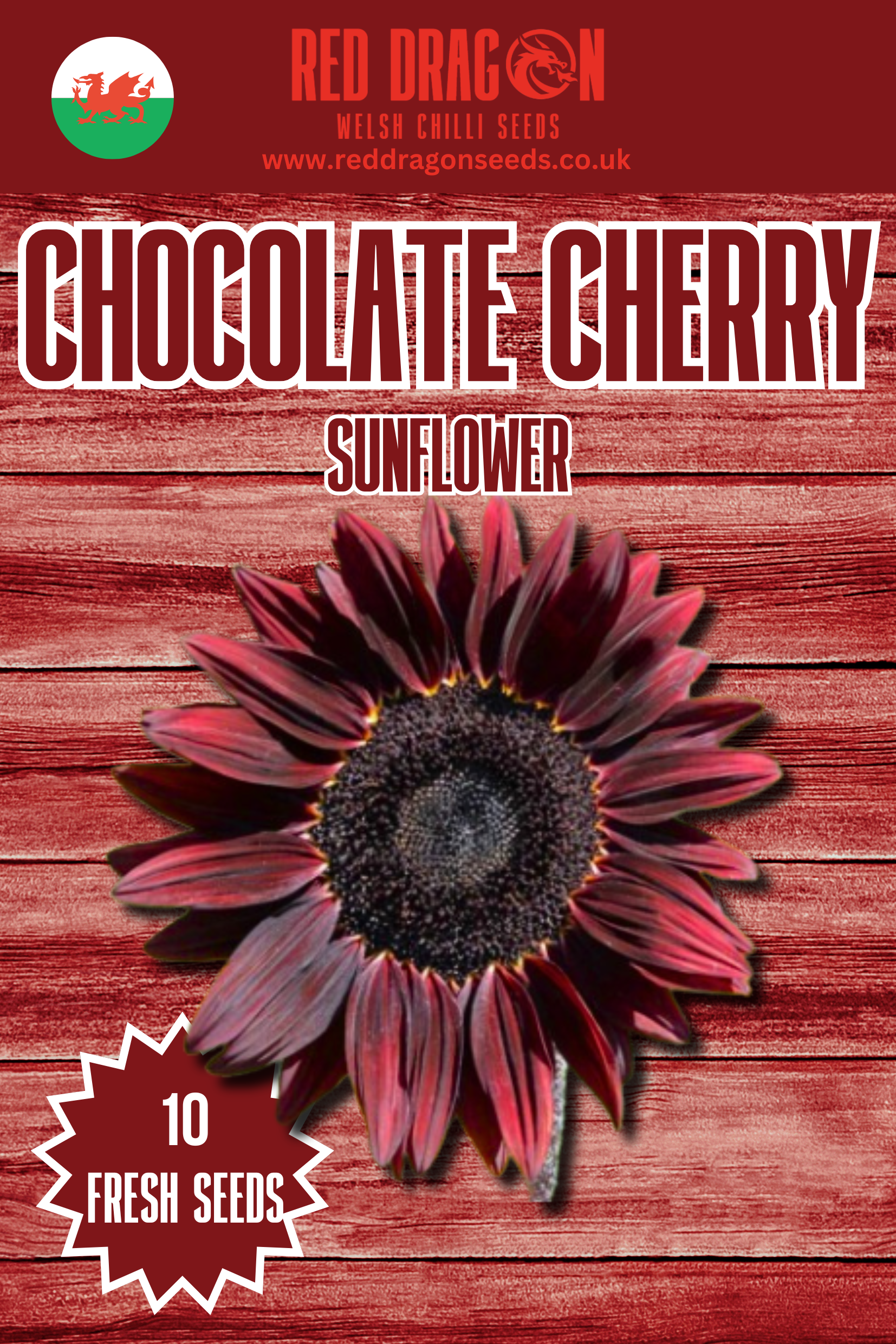 Chocolate Cherry Sunflower Seeds