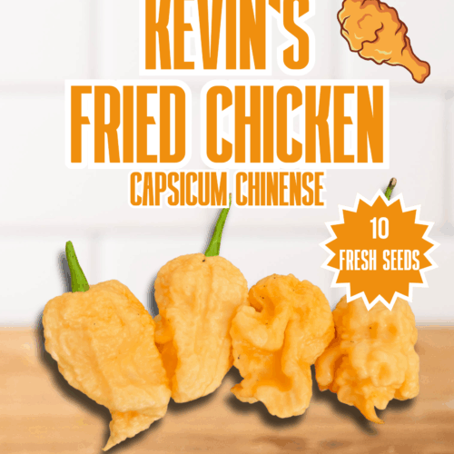 Kevin's Fried Chicken Chilli Seeds