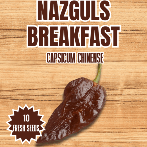 Nazguls Breakfast Chilli Seeds