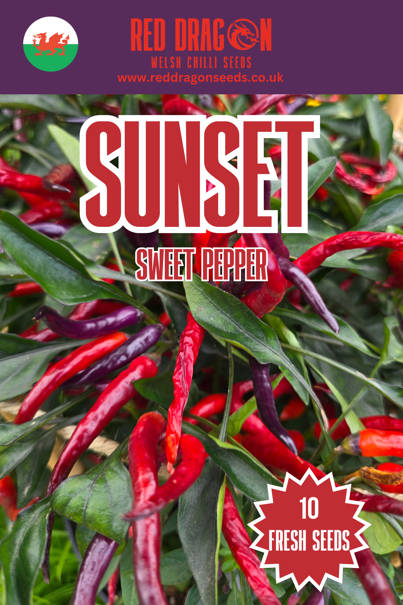 Sunset Sweet Pepper Seeds