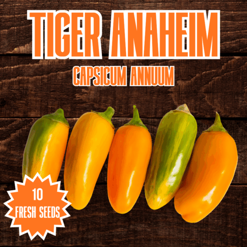 Tiger Anaheim Chilli Seeds