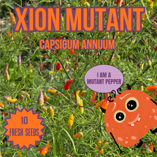 Xion Mutant Chilli Seeds