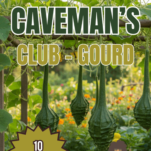 Caveman Club Gourd Seeds