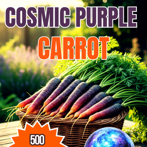 Cosmic Purple Carrot Seeds