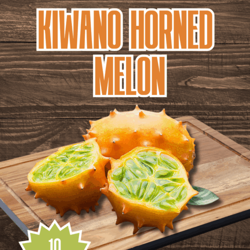 Kiwano Horned Melon Seeds