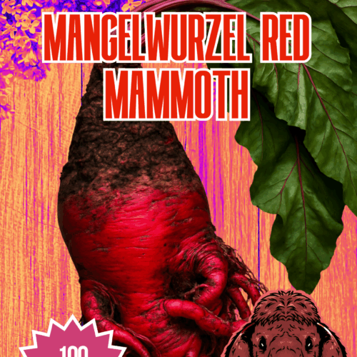 Mangelwurzel Red Mammoth Seeds