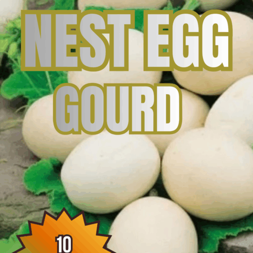 Nest Egg Gourd Seeds
