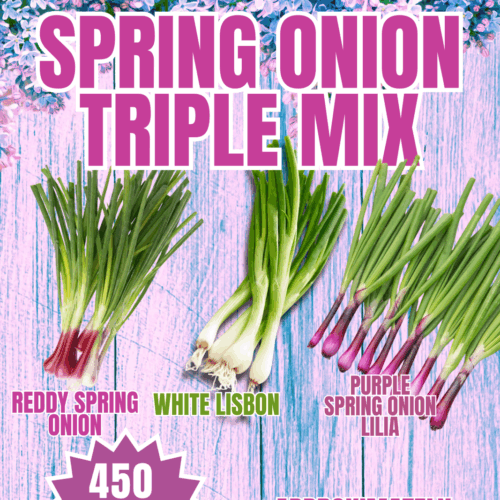 Spring Onion Triple Mix Seeds