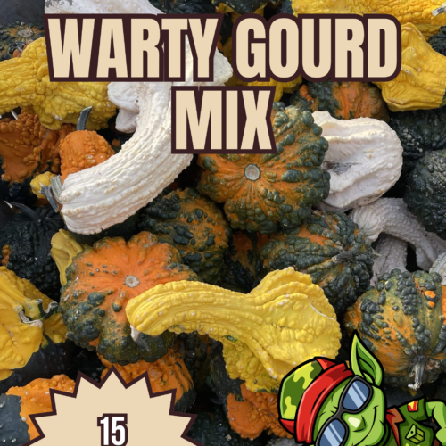 Warty Gourd Mix