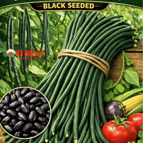 Yard Long Bean Metro nero seeds